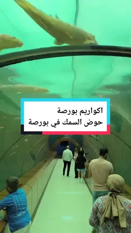 اكواريوم بورصة يلي موجود  بحديقة الجاذبية  اسم الحديقة: cazibe merkezi  #بورصة #تركيا #bursa #turkey #سياحة_تركيا #سياحة #اماكن_سياحية #اكواريوم #حديقة #اكسبلور 