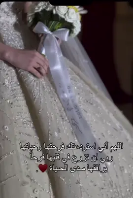 #عروس#زواج#بدلة_عروس#فستان_عروس#عرس#اغاني#بيست_فريند#بيست#حمودة#محمد#مالي_خلق_احط_هاشتاقات#بحبك#فرنسا🇨🇵_بلجيكا🇧🇪_المانيا🇩🇪_اسبانيا🇪🇸#تونس#قسمة_ونصيب#سوريا#foryourpage 