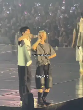 #straykids #skz #스트레이키즈 #seungmin #felix #skzworldtour #kpopfyp #fyp 