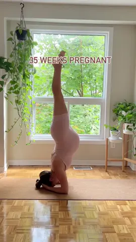 35 weeks pregnant 🤰🏼  …But closer to 36 weeks now 😀 I can’t believe it’s official baby month!!!!  So excited and nervous hihi  Wearing @Alo Yoga  . . #aloyoga #aloonyou #inmyalo #pincha #pinchamayurasana #pinchapractice #inversion #prenatalyoga #pregnancyyoga #35weekspregnant #thirdtrimester #pregnancy #pregnant #pregnancyworkout ##motherhood #momlife #thebump #bump #noahdaxmacdonald🌈 #gestationaldiabetespregnancy #gestationaldiabetes #fy #fyp 