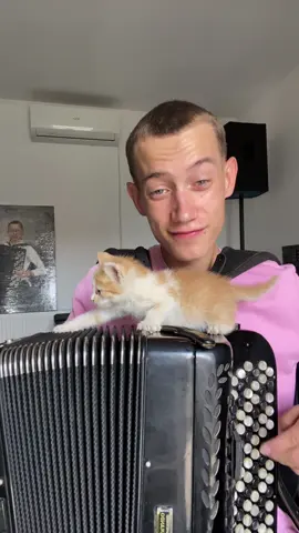 Zucoooo😺😺😺