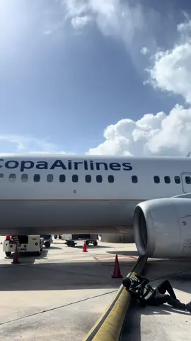 How to put the air on the plane while always having fun 😅✈️