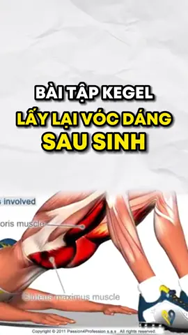 Bài tập kegel siết cơ sàn chậu cho phụ nữ sau sinh ☘️ #yoga #taptheductainha #xuhuongtiktok2024 #yogatainha #core #giamcan #kegel #huyennguyenyoga 