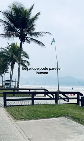 🌸✨💕 #fy #foyoupage #viral #lyricsvideo 