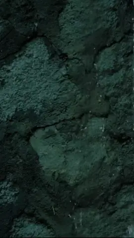 ﴿ ياأيها الذين آمنوا اجتنبوا كثيرا من الظن إن بعض الظن إثم ولا تجسسوا ولا يغتب بعضكم بعضا أيحب أحدكم أن يأكل لحم أخيه ميتا فكرهتموه واتقوا الله إن الله تواب رحيم ﴾ [ الحجرات: 12] O you who have believed, avoid much [negative] assumption. Indeed, some assumption is sin. And do not spy or backbite each other. Would one of you like to eat the flesh of his brother when dead? You would detest it. And fear Allah; indeed, Allah is Accepting of repentance and Merciful. #خالد_الجليل #سورة_الحجرات #قران #quran #قران_كريم #قرآن #القران #القران_الكريم #القرآن #القرآن_الكريم #تلاوة_خاشعة #تلاوات #تلاوات_خاشعة #timelapse #usa #russia #ukraine #islam #islamic_video #آية #آيات #آيات_قرآنية #fyp #اكسبلور #explore #مكه #المدينه 