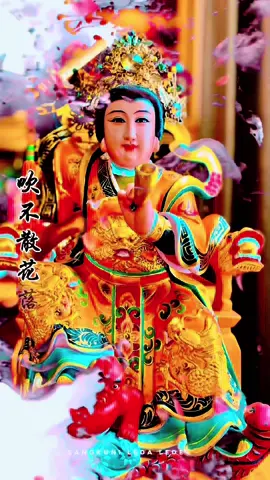 ตอบแทนความดีด้งยความดี ✨⭐️✨💛💛 #ลิ่มจุ้ยฮูหยิน #อาม่าลิ่มจุ้ย #บารมีอาม่าลิ้มจุ้ยฮูหยิน #พระจีน #ม้าทรงพังงา #ตั๋วพระจีน 