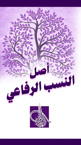 تعرف على أصل النسب الرفاعي ؟ لمشاهدة الحلقة كاملة : الرابط بالبايو (اليوتيوب) . #نسب #انساب #الرفاعي #رفاعي #الرفاعية #قبيلة #قبائل #الرفاعيه #الرفاعيه🦅 