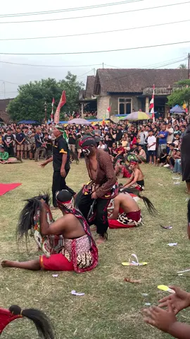 Celeng koming doc : 1 september 2024