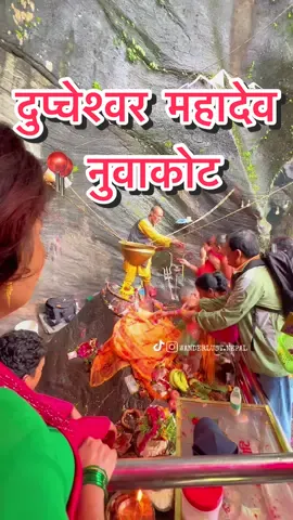 Dupcheshwor Mahadev Temple is located in the Nuwakot district of Nepal. It is a significant Hindu pilgrimage site dedicated to Lord Shiva. The temple is situated in a serene environment, surrounded by lush green hills, and is about 75 kilometers northwest of Kathmandu. Perched on a cliff near the banks of the Tadi River, the temple can be reached by crossing a suspension bridge. It is especially popular during the month of Shrawan, a sacred time for worshippers of Lord Shiva. According to legend, a cowherd lost one of his cows and was deeply distressed. That night, a sage appeared to him in a dream and revealed the exact location where he would find the cow. The next day, the cowherd followed the instructions from his dream and found the cow at the very spot described by the sage. The cow was giving milk on a huge rock. This spot eventually became the site of the Dupcheshwor Mahadev Temple. . #DupcheshworMahadev #Nuwakot #HinduPilgrimage #LordShiva #ShrawanFestival  #SacredSites #SpiritualJourney #Dupcheshwor #TadiRiver #NepalCulture #Mythology #NepalTemples #SereneNature #Nepal #tiktoktravel #pilgrimage #wanderlustnepal #fyp #foryou #foryoupage #foryourpage #Tiktoknepal 