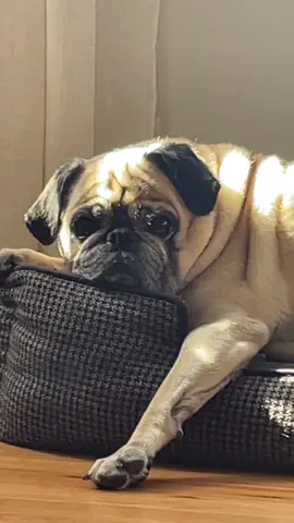 🧈🥐!!!!!!!!!!!!! its all I see!!!!!!