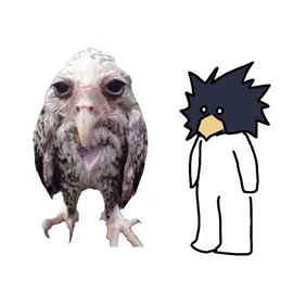 #mha #myheroacademia #bnha #fyp #foryoupage #keigotakami #keigo #hawks #hawksbnha #tokoyamifumikage #tokoyamafumigake #tokoyama #mhameme #eagle #мга #моягеройскаяакадемия #бнха #мгамем #кейго #кейготаками #ястреб #ястребмга #токоямифумикаге #токоями #рек #рекомендации 