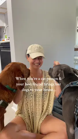 Send help 😭 #catmom #catlady 