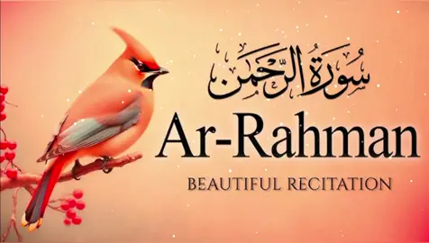 surah rahman complete beautiful recitation (slowed+reverb) 😇😍 #foryou #foryoupage #goviral #trending #viralthisvideoo #beautiful #islamic #telawat_y_quraan_y_paak #supportme @وقاص @TiktokPakistanOfficial @Allah💞 @Allah💞 