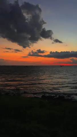 Trong những năm tháng trưởng thành, tôi vô tình bỏ quên trái tim mình ở lại.  Sự thất lạc đã bị quên lãng đến mức tôi không còn manh mối tìm lại được nữa.  Sự trống rỗng lại đồng hành cùng tôi trên những chặng cuối cùng của đời người.  #tamtrang #life #viral #fyp 