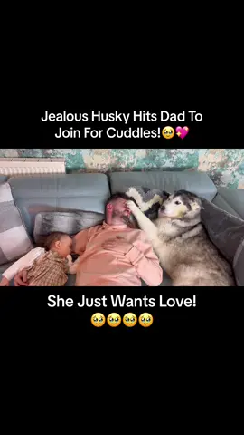 “Im your baba tooo!!”🥹💖. #huskylife #Love #bestfriend #milliethehusky #huskyandbaby #animalvideo #animal #siberianhuskies #cuteanimals #dog #dogs #huskyvideo #huskies #husky #cutevideo #jealousdog #needydog #jealoushusky #needyhusky 