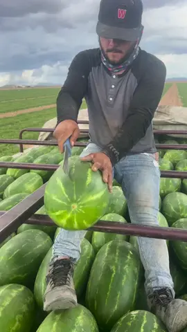 (1 minute) Amazing Fruit 😱 #asmr #fruit #fruits