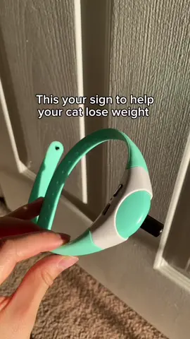 🔗 Linked in our bio, sale ends soon! This has been a viral toy so we can’t keep up with the messages, so please grab the link from our bio!  This will keep your furry friend in good shape before summer ☀️ Please be sure to supervise your cat while playing with this, or any other toy!  #cats #cattok #viral #tiktok #reels 