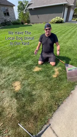 Our Green Grass Is Having Trouble Doing Its Job. 