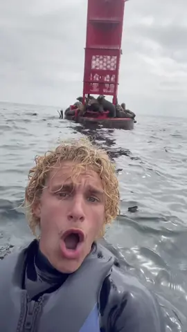 Replying to @jimmy I dont think that worked. #fyp #foryou 