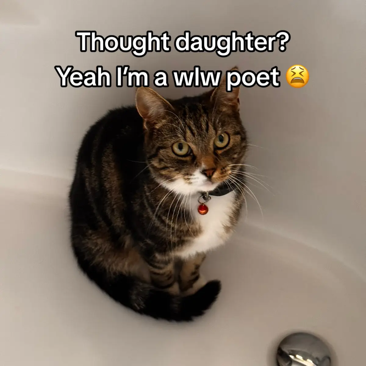 I don’t play 😫 No but seriously do check it out (link in bio), I think my work is kinda cool, proud of this book, gonna start working on another one <3 #wlw #wlwtiktok #wlwpoetry #poetrytok #thoughtdaughter 