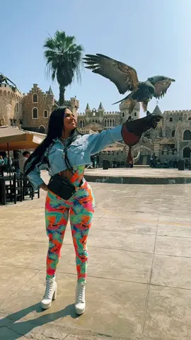 Las energias y las buena vibras que genera un 🦅 💫es lo que recibes para liberar todo lo que stress y agotamiento corporal son hermosas🥰 #aguilas #paratiiiiiiiiiiiiiiiiiiiiiiiiiiiiiii #viral #tiktok #fyppppppppppppppppppppppp #energiaspositivas #momentos 