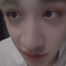 omg it's so cute 😭 // #bangchan #fyp #straykids #parati #stay 