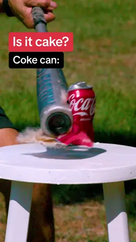 Is it cake? 🎥🍰 @Marian Sarkisian #slowmo #satisfying #isitcake 
