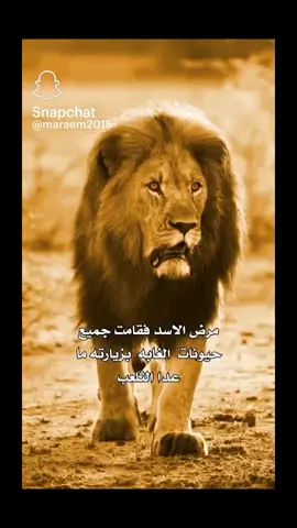 #دراما_الشام #دراما_بلدي 
