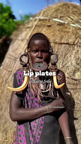 The Mursi tribe of Ethiopia and the Turkana tribe of Kenya are both renowned for their distinctive and culturally significant adornments—lip plates for the Mursi and necklaces for the Turkana—each serving as powerful symbols of identity, status, and tradition. The Mursi tribe, located in the Omo Valley of southern Ethiopia, is famous for the lip plates worn by women. These large, round plates, usually made of clay or wood, are inserted into a slit in the lower lip, which is gradually stretched to accommodate larger plates over time. The lip plate is a symbol of beauty, maturity, and social status within the Mursi community. The practice typically begins in adolescence and is associated with a girl’s eligibility for marriage, with larger plates often indicating higher bride wealth. Though the custom is deeply embedded in Mursi culture, it is also a statement of cultural identity and resilience in the face of modern influences and external pressures. In contrast, the Turkana tribe of Kenya is known for their elaborate beaded necklaces, which play a crucial role in their cultural expression. Turkana women, in particular, wear multiple layers of colorful beadwork that form thick, collar-like necklaces covering the neck and upper chest. The beads are arranged in symmetrical patterns, with each color carrying specific cultural meanings—red for bravery, white for peace, and blue for prosperity, among others. The size and intricacy of these necklaces often reflect the wearer’s age, marital status, and social rank, with married women wearing more elaborate designs. Beyond their aesthetic appeal, these necklaces also represent wealth and are sometimes used in dowries or during significant life events. Both the lip plates of the Mursi and the necklaces of the Turkana exemplify how bodily adornment can serve as a profound expression of cultural identity and social structure within African societies. #mursi #turkana #kenya #ethiopia #africa #beauty #culture #africa #westafrican68 