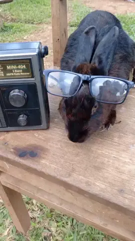 Uganda#muzahuura #foryoupage 