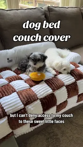 This dog bed couch cover from the TikTok Shop is a dog mom must-have. 🐾 #dogtok #dogmom #dog #dogbed #creatorsearchinsights #dogsoftiktok 