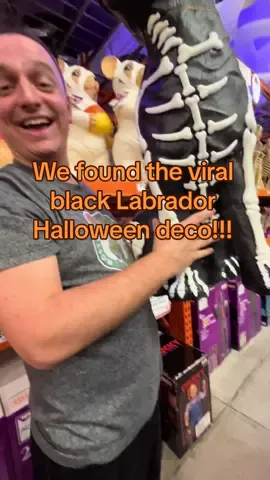 Come with us to get the viral halloween black labador retriever @The Home Depot !! (Also if you guys come out with a christmas black lab plz put is on your PR list 😉)  #halloweendecor #viral #homedepothalloween #thehomedepot #halloweendecorations  