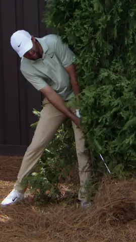 Not even a tree could deny Scottie Scheffler 🌲🚫 #golf #PGATOUR #highlights 