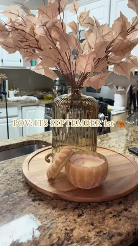 Fall has arrived to our household 🍂 Cant wait to finish the whole house ☺️ 