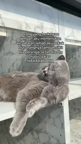 biasalah org cntik semua pekak #fyp #xyzbca 