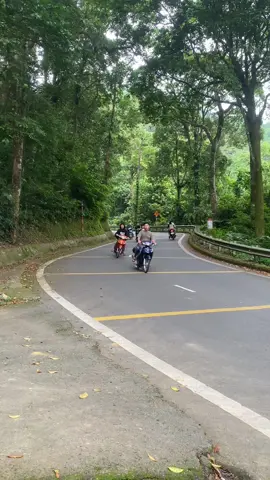 Ba Vì chx bh là hết hot #xuhuong #bavihanoi #theanh28 #wave85434 #lenxuhuong #vuonquocgiabavi 