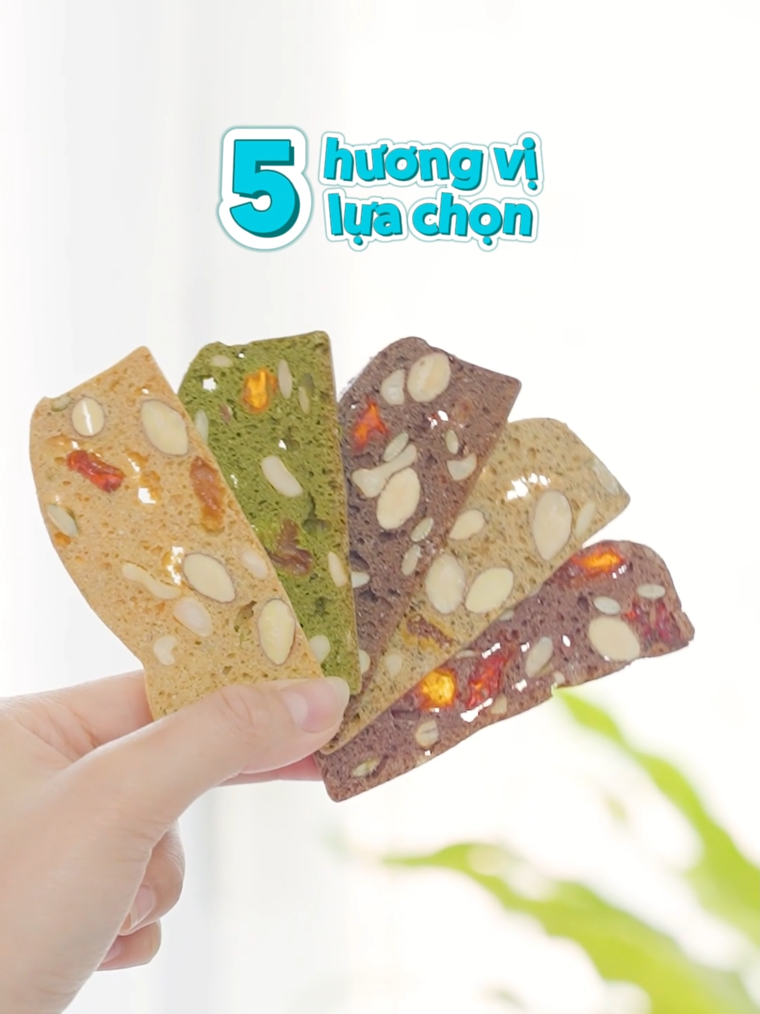 Biscotti Nguyên Cám 5 vị cho bạn thỏa thích thay đổi khẩu vị! #HeBekery #Eatclean #Snackhealthy #healthy #biscottinguyencam #lowcalo