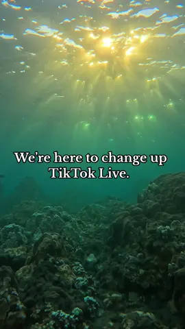 Will you come along on a dive with us? #tiktok #livestream #nature #explore #fyp 