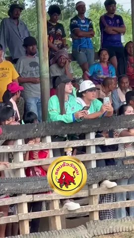 คนนี้แหละผางๆเข้าแล้วน้องเห้อ #รอบรั้ววัวชน🐮 #ขออนุญาตคนในคลิป #สนามชนโคบ้านคลองแงะ #fyp 