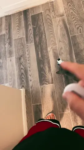Best cat toy on TikTok