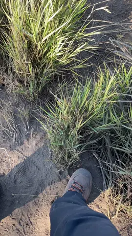 #merbabu #sadvibes🥀 #fyp 