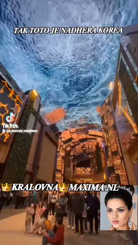 #𝑭𝒚𝒑#𝑻𝒊𝒌𝒕𝒐𝒌#𝑽𝒊𝒓𝒂𝒍