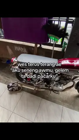 mosok dadi cees tok ae😭