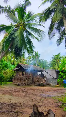 Con lại xa nhà...#meme #kyuctrongtoi #trendingvideo #trending #chill #canhdep #mientayquetoi #vietnamtoiyeu #nhachaymoingay #bentre71🌴🥥 #tuoithotoi #beauty #quehuong #song 