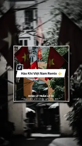 Đinh Lý Trần Lê ơi nguyện xin khắc ghi đời đời.. | Hào Khí Việt Nam Remix ⚜️#CapCut #MinhSang #MauCapCut #capcutmaster #beats #HaoKhiVietNam #ngayquockhanh#nhachaymoingay #Msang #vonglap 