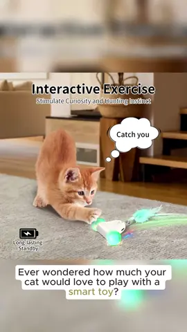 Interactive Cat Toy, Automatic Cat Toy Electric Cat Toy Adjustable Speed, Cat Toys with Intelligent Obstacle Sensor for Cat