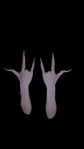 2024…久々にやってみた🙂‍↔️ Do you know this post? Posted in 2023, not 2022. #whatitis #手振りの手だけの人 #maahand 