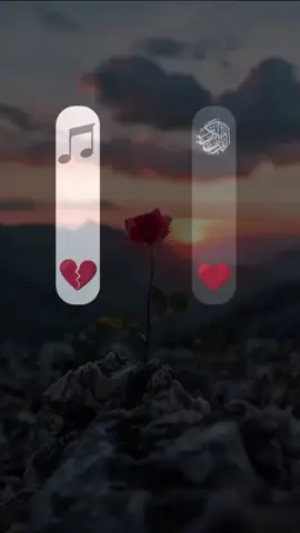 Quran Sweet tilawat#quranvideo #quranrecitation #quranverses #holyquran #qurantilawat