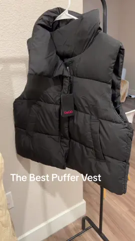 Go GG knows how to make coats! @go.g.g.us #puffervest#vest#coat#fall#winter #fypシ゚viral 
