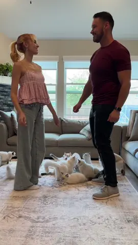 At the end, Katniss was trying to say no more dancing allowed 